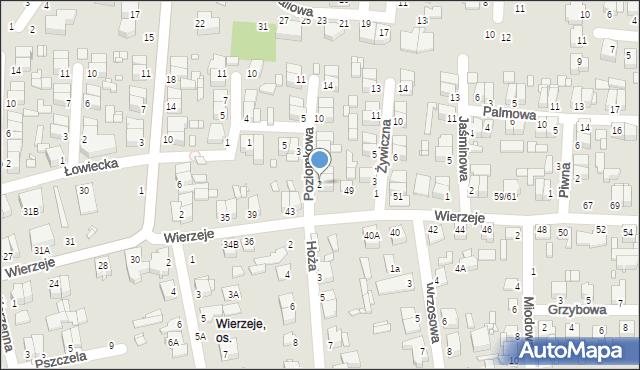 Piotrków Trybunalski, Poziomkowa, 2, mapa Piotrków Trybunalski