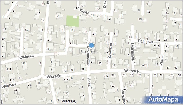 Piotrków Trybunalski, Poziomkowa, 6, mapa Piotrków Trybunalski
