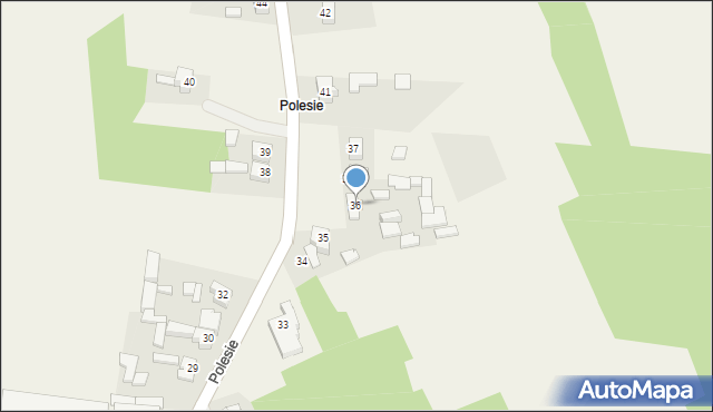 Polesie, Polesie, 36, mapa Polesie