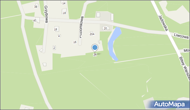 Puste Łąki, Poziomkowa, 25, mapa Puste Łąki