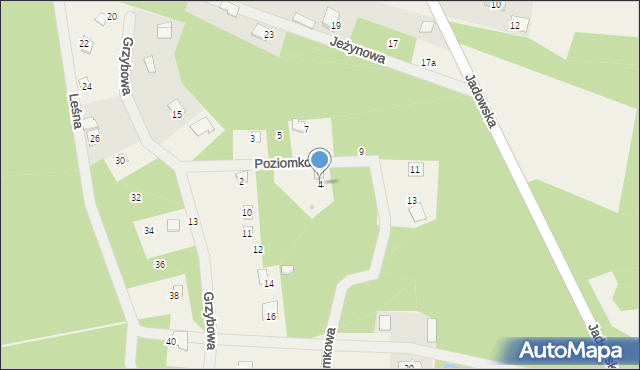 Puste Łąki, Poziomkowa, 4, mapa Puste Łąki