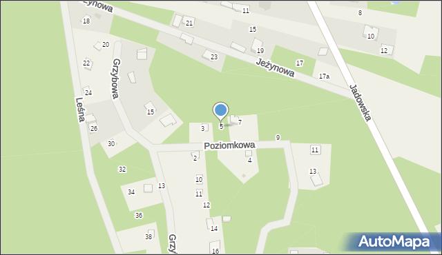 Puste Łąki, Poziomkowa, 5, mapa Puste Łąki