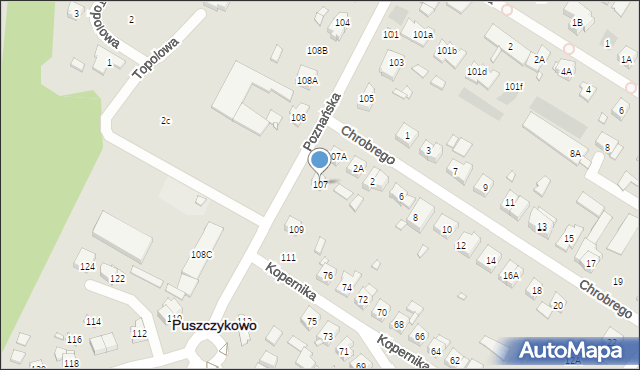 Puszczykowo, Poznańska, 107, mapa Puszczykowo