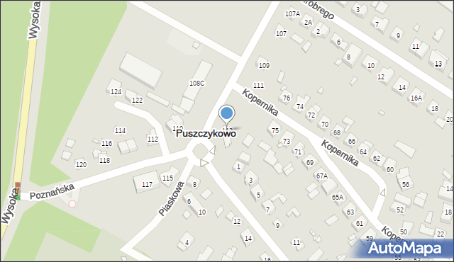 Puszczykowo, Poznańska, 113, mapa Puszczykowo