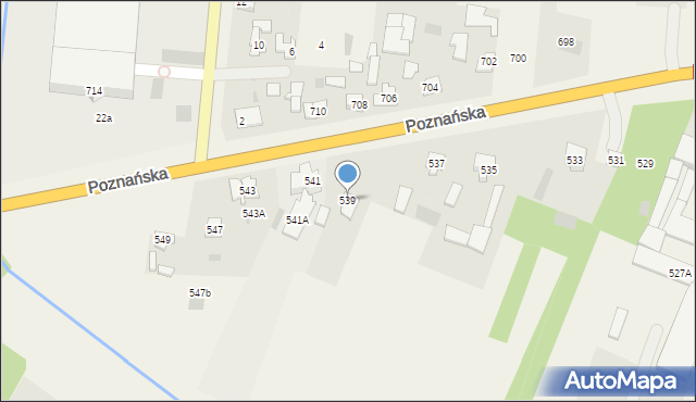 Święcice, Poznańska, 539, mapa Święcice