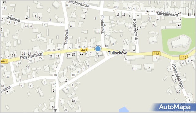 Tuliszków, Poznańska, 3, mapa Tuliszków