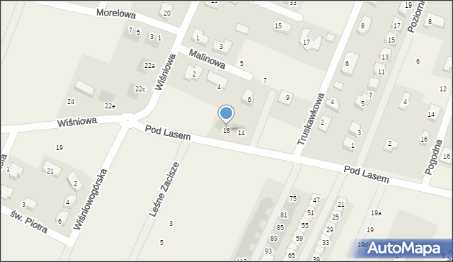 Wilkszyn, Pod Lasem, 18, mapa Wilkszyn