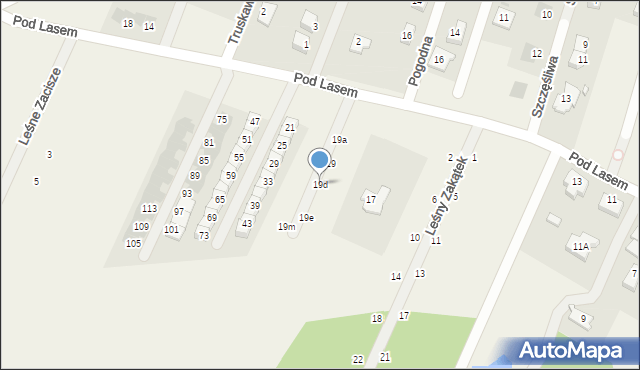 Wilkszyn, Pod Lasem, 19d, mapa Wilkszyn