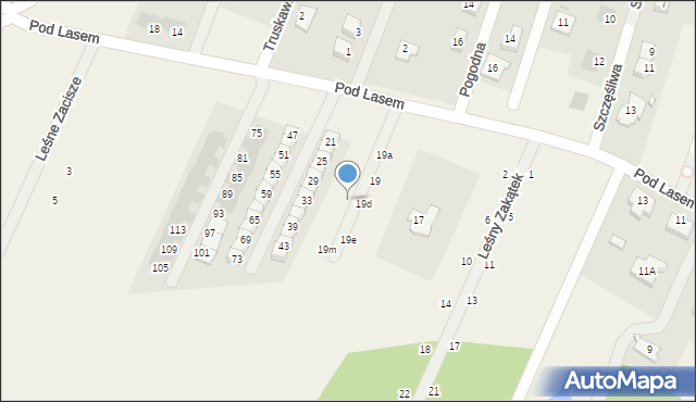 Wilkszyn, Pod Lasem, 19j, mapa Wilkszyn
