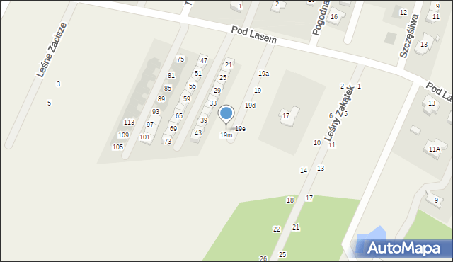 Wilkszyn, Pod Lasem, 19l, mapa Wilkszyn