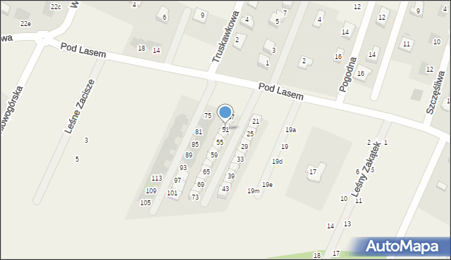 Wilkszyn, Pod Lasem, 51, mapa Wilkszyn