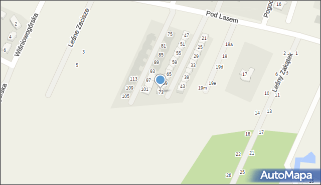 Wilkszyn, Pod Lasem, 73, mapa Wilkszyn