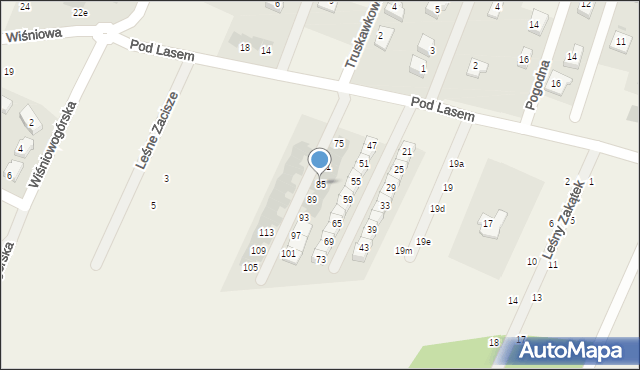 Wilkszyn, Pod Lasem, 85, mapa Wilkszyn