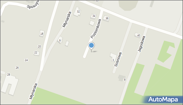 Zduny, Poziomkowa, 7, mapa Zduny