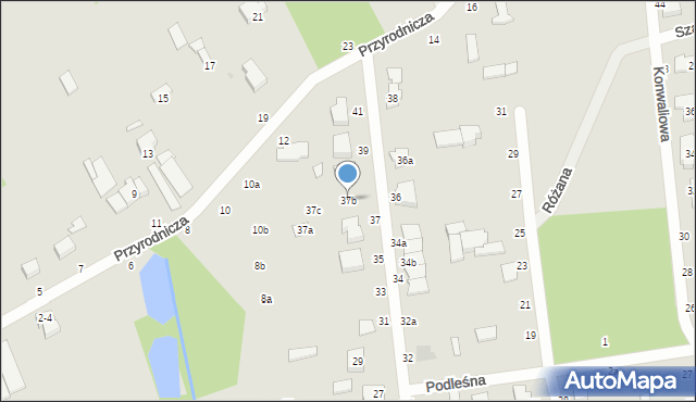 Zgierz, Podgórna, 37b, mapa Zgierz