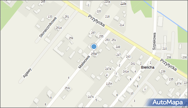 Bielicha, Przytycka, 253a, mapa Bielicha