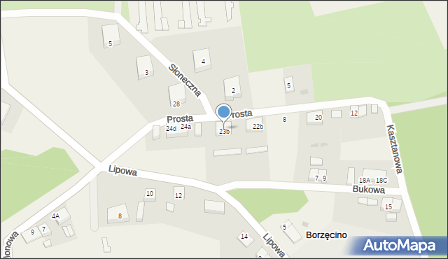 Borzęcino, Prosta, 4, mapa Borzęcino