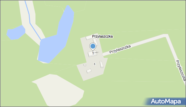 Dyszno, Przylaszczka, 5, mapa Dyszno