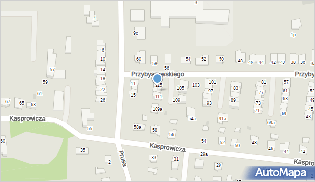 Janikowo, Przybyszewskiego Stanisława, 113, mapa Janikowo