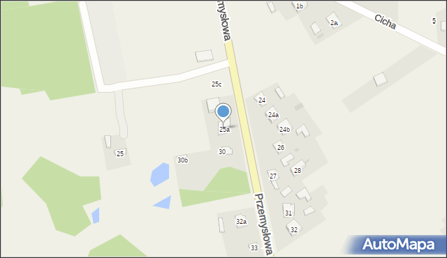 Kolonia Borek, Przemysłowa, 25a, mapa Kolonia Borek