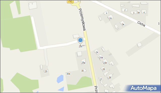 Kolonia Borek, Przemysłowa, 25c, mapa Kolonia Borek