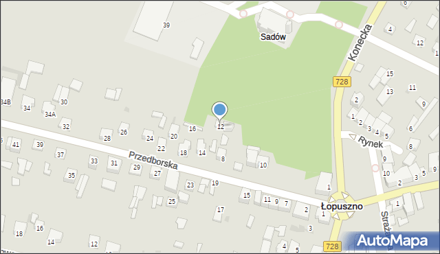 Łopuszno, Przedborska, 12, mapa Łopuszno