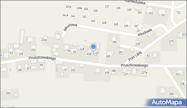 Mników, Pruszkowskiego Witolda, 104, mapa Mników