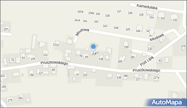 Mników, Pruszkowskiego Witolda, 108, mapa Mników