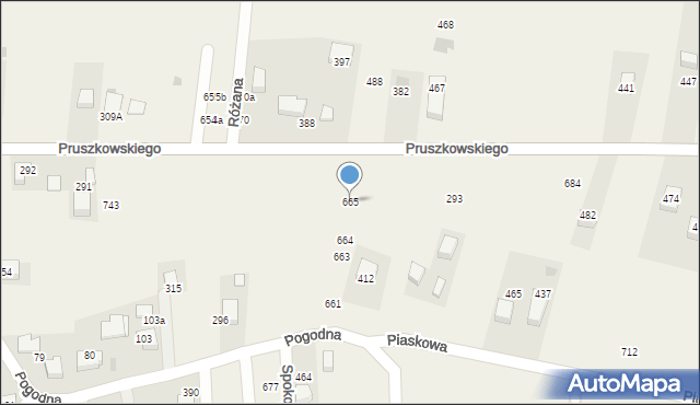 Mników, Pruszkowskiego Witolda, 61, mapa Mników