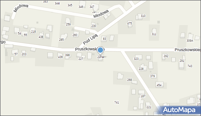 Mników, Pruszkowskiego Witolda, 89, mapa Mników