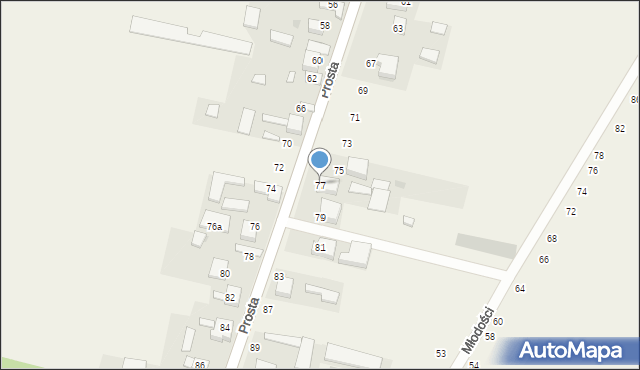 Nowy Kocin, Prosta, 77, mapa Nowy Kocin