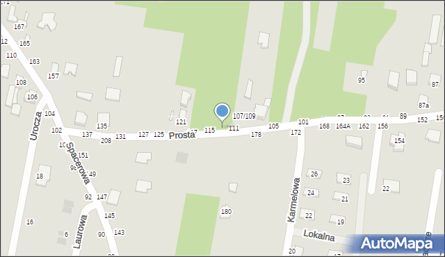 Piotrków Trybunalski, Prosta, 113, mapa Piotrków Trybunalski