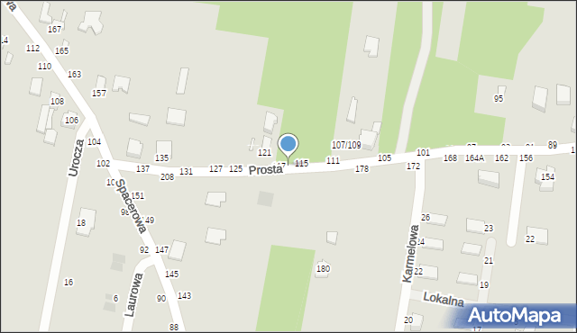 Piotrków Trybunalski, Prosta, 115A, mapa Piotrków Trybunalski
