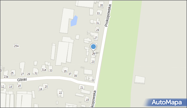 Pleszew, Prokopowska, 25, mapa Pleszew