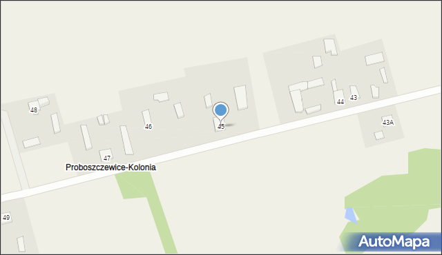 Proboszczewice, Proboszczewice, 45, mapa Proboszczewice