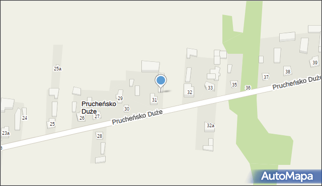 Prucheńsko Duże, Prucheńsko Duże, 31A, mapa Prucheńsko Duże