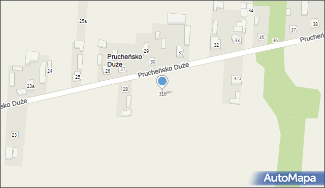 Prucheńsko Duże, Prucheńsko Duże, 31b, mapa Prucheńsko Duże