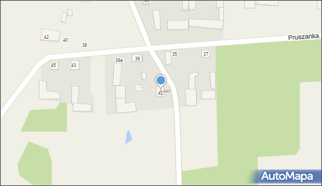 Pruszanka Stara, Pruszanka Stara, 41, mapa Pruszanka Stara