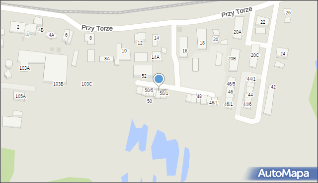 Pruszcz Gdański, Przy Torze, 50/2, mapa Pruszcz Gdański
