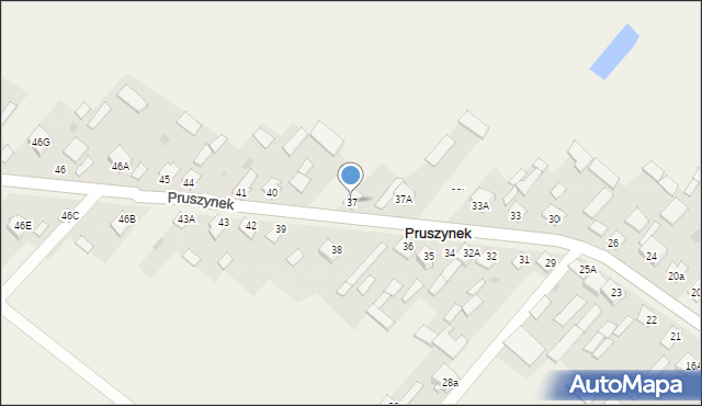 Pruszynek, Pruszynek, 37, mapa Pruszynek