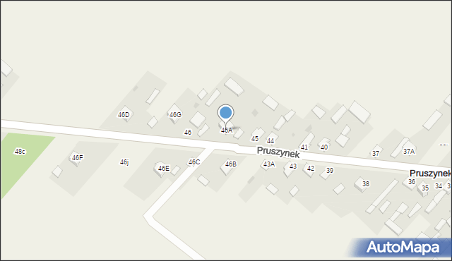 Pruszynek, Pruszynek, 46A, mapa Pruszynek
