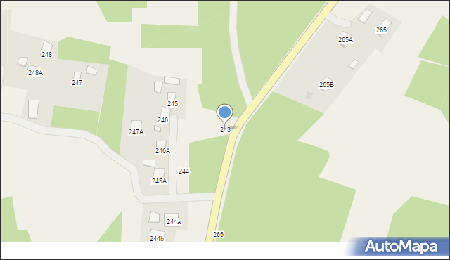 Przedbórz, Przedbórz, 243, mapa Przedbórz