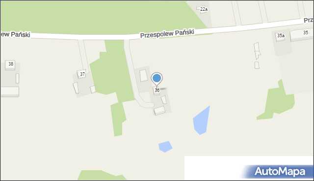 Przespolew Pański, Przespolew Pański, 36, mapa Przespolew Pański