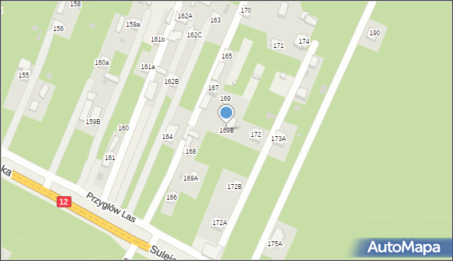 Przygłów, Przygłów Las, 169B, mapa Przygłów