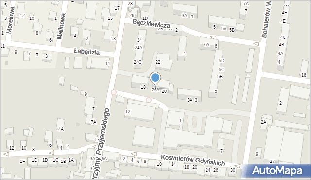 Rawicz, Przyjmy Przyjemskiego, 20A, mapa Rawicz