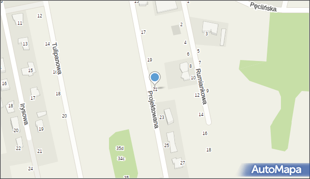 Wiązowna, Projektowana, 21, mapa Wiązowna