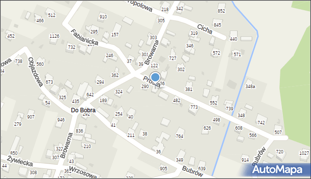Wieprz, Prosta, 1096, mapa Wieprz