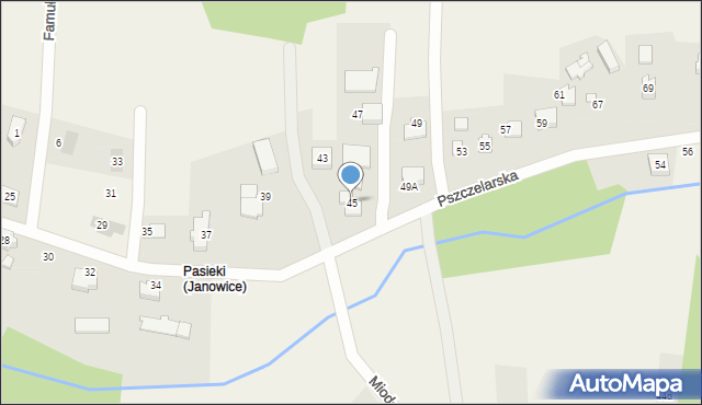 Janowice, Pszczelarska, 45, mapa Janowice