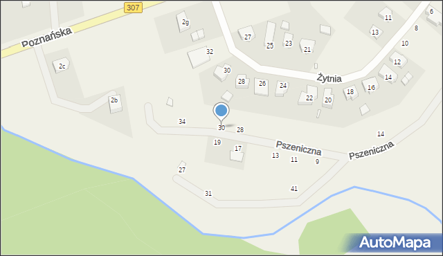 Niepruszewo, Pszeniczna, 30, mapa Niepruszewo