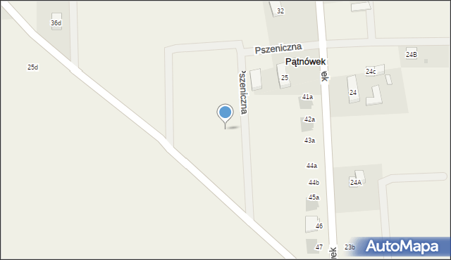 Pątnówek, Pszeniczna, 5a, mapa Pątnówek